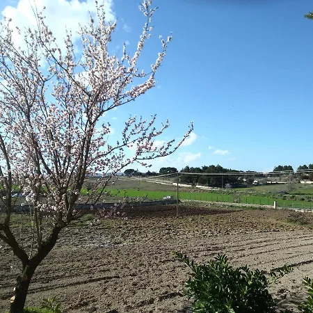 Cristina Bed & Breakfast Altamura